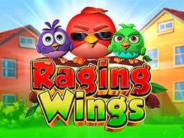 Raging Wings game cover