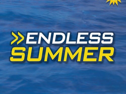Endless Summer game cover